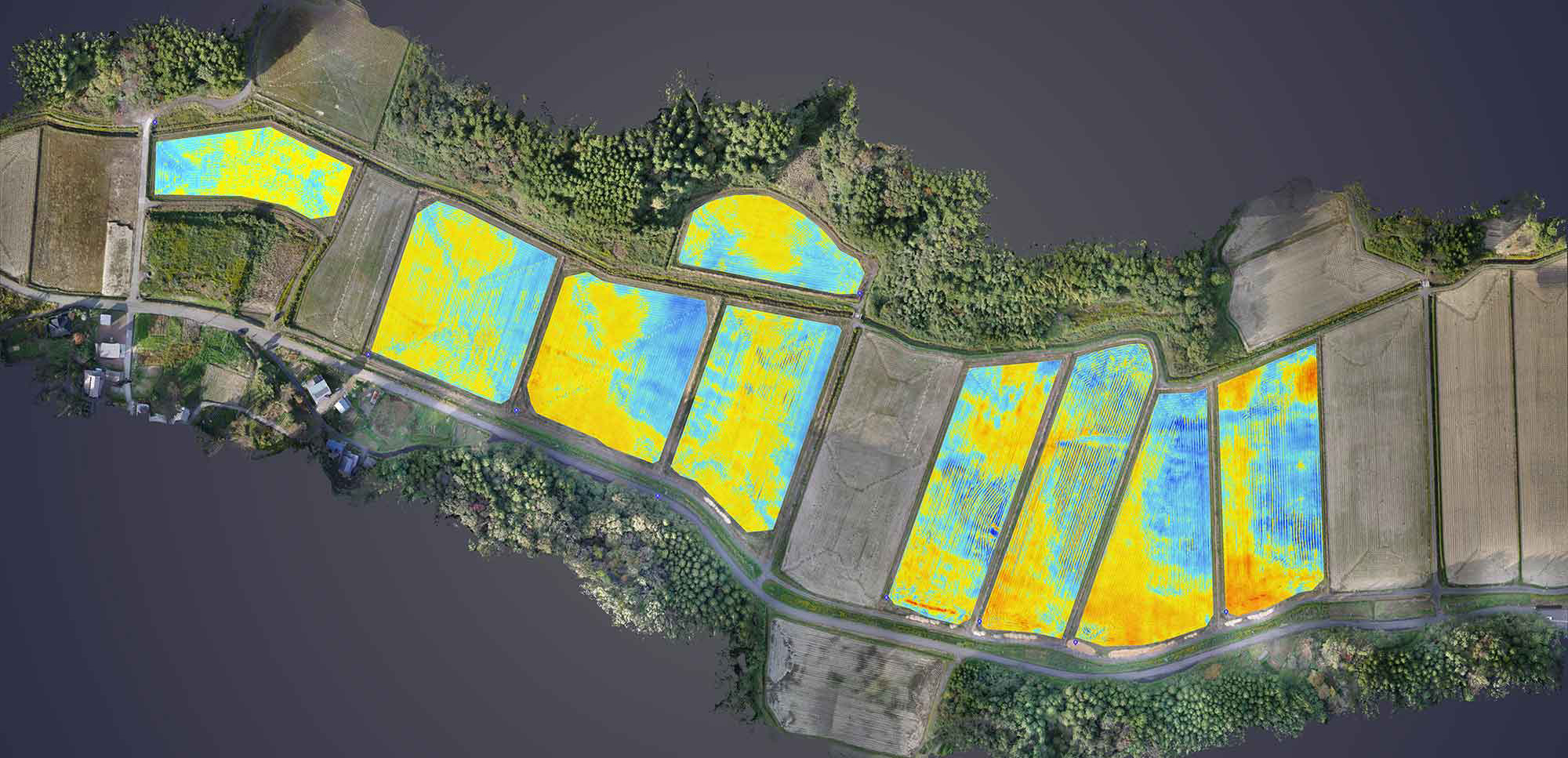 50cmグリッド