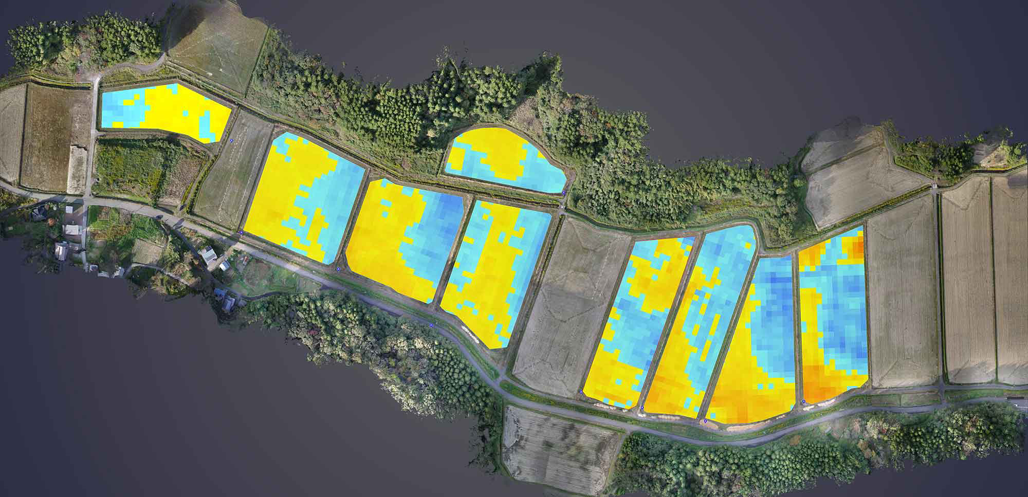 5mグリッド